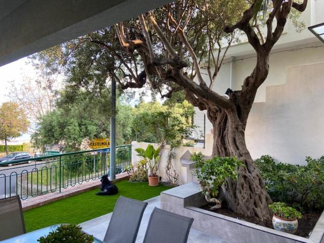 Villa Centaurea Apartment With Private Parking Taormina Exterior foto